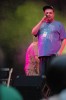 Reggae nad Wartą 2008