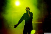 Reggae nad Wartą 2013